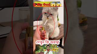 দেখুন কি অবস্থা।🤦🙅🤔shorts shortvideo viralvideo FactoZqs6zn RespectHumanity11 [upl. by Femi456]