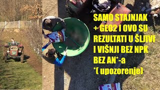 Samo GEO2 i STAJNJAK u voćnjaku GUSTA SADNJA  i ovo su rezultati evo šta kažu mladi voćariČAK [upl. by Shana]