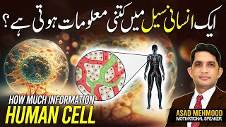 How Much DNA is in Your Body A Simple Explanation of Human Biology  Dr Asad Mehmood [upl. by Joelly]