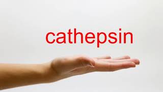 How to Pronounce cathepsin  American English [upl. by Tali]