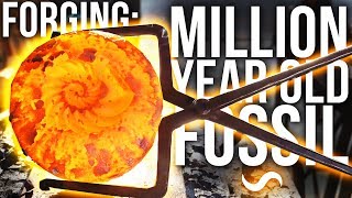 FORGING A MILLION YEAR OLD FOSSIL [upl. by Uol]