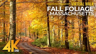 4K Fall Foliage of Massachusetts Forest  Walk on Keystone Arch Bridges Trail with Birds Sounds [upl. by Beatrix474]