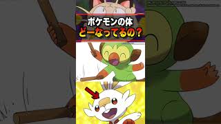 ポケモンの体って不思議！… ポケモン pokemon 雑学 sv アニポケ はるかっと shorts [upl. by Fletcher]