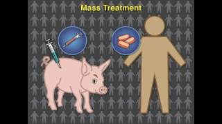 Eradicating Pork Tapeworm Transmission [upl. by Magena]