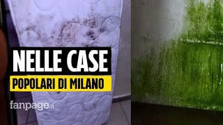 Bambini ammalati per la muffa e anziani con metà casa inagibile vivere nelle case popolari a Milano [upl. by Neih]