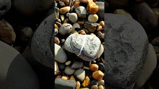 Sea Jasper Wish stone asmr seasidebeach silentvlog beach coastalwalk travel nature rock uk [upl. by Brenan652]