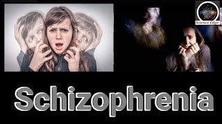 Schizophrenia and Dissociative Identity Disorder Understanding the DifferencesScience Edge [upl. by Neveda]