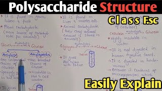 Polysaccharide Structure And Classification  Starch  Glycogen  Cellulose  Class 11 UrduHindi [upl. by Evot]