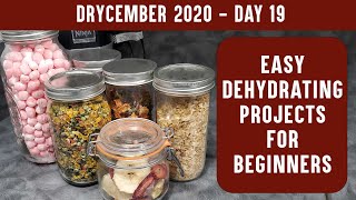 EASY DEHYDRATING PROJECTS FOR BEGINNERS Learn to Dehydrate with Easy Recipes  DRYCEMBER [upl. by Center880]