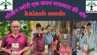 kalash seeds pvt Ltd onion veraity golden glory [upl. by Cavil]