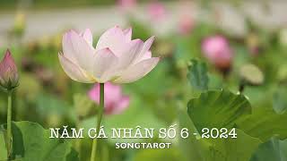 năm cá nhân số 6  2024 [upl. by Arlana302]