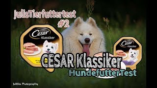 Hundefutter CESAR Klassiker im Test Nassfutter für Hunde  Review  JulisTierfuttertest 2 [upl. by Nale809]