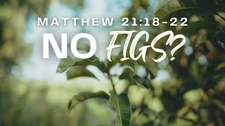 KINGSWAY CHURCH  No Figs  July 21st 2024 [upl. by Diarmit]