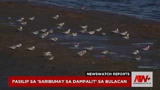 Pasilip sa Saribuhay sa Dampalit sa Bulacan  NewsWatch Reports [upl. by Ortiz]