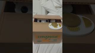 Kitty Cat Box coins bank [upl. by Beedon242]