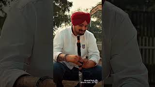 Sidhu Moose wala 295 song [upl. by Telfer]