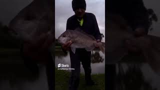 Maribyrnong River Snappershorts [upl. by Gregoire]