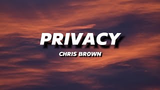 CHRIS BROWN  PRIVACY  LYRICS [upl. by Yttocs]