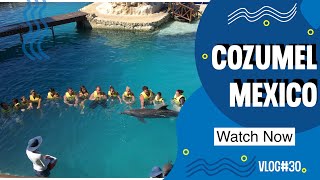 Cozumel Mexico Top Excursions and Port Review  Carnival Cruise Port  Travel Vlog [upl. by Atreb568]