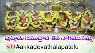 పుట్టాడు సముద్రాన శివ నాగమునెమ్మ Song  Akkadevathala Patalu  Chhinna Veera Mallamma  DSD [upl. by Tav170]