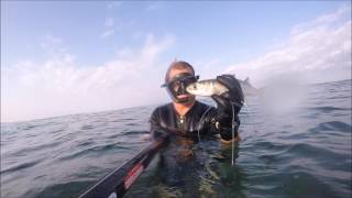 דייג בצלילה חופשית  חגיגת בורים spearfishing israel part 3 [upl. by Rodney]