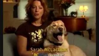 OampA Sarah McLachlan Animal Cruelty infomercial [upl. by Changaris]