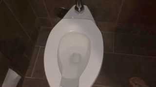 Worlds loudest toilet flush Sound effect of Toilet flushing [upl. by Belier]