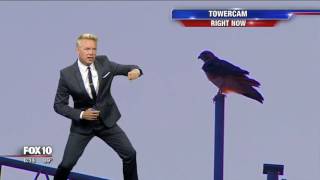 Bird interrupts Corys forecast [upl. by Anastassia54]