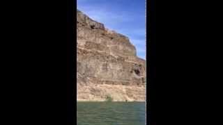 Cow falls from 900 feet from coulee cliff in the Blue Lake basin Near Soap Lake area [upl. by Nedac]