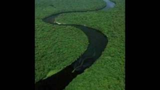 Nabau  Mythical Monster of Borneo In HD [upl. by Munster]