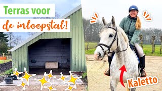 ZELF PAARDENTERRAS MAKEN amp bij KRISTY langs  felinehoi VLOG 430 [upl. by Figone]