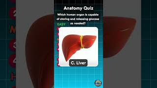 Human Body Quiz How Well Do You Know Your Anatomy 🧠🫀 [upl. by Greff539]