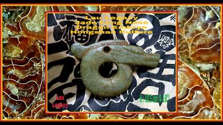 劉 Lau Legacy Antique Jade Hongshan Culture Jade Long Nose Dragon Embryo高古玉 紅山文化 青玉龍 [upl. by Ainatnas]