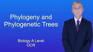 A Level Biology Revision quotPhylogeny and Phylogenetic Treesquot [upl. by Leahkim]