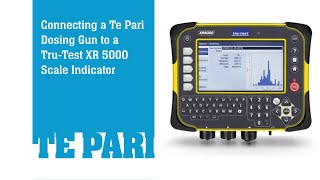 Connecting Te Pari Dosing Gun to a Tru Test 5000 Scale Indicator [upl. by Hillinck]