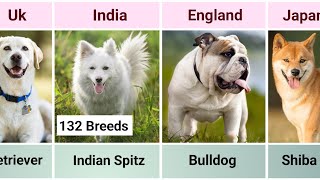 Dog Breeds From Different Countries  132 Dog breeds [upl. by Alleda]