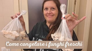 Come conservare i funghi porcini nel surgelatore correttamente per 6 mesi [upl. by Trometer]