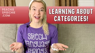 Learning About Categories by Peachie Speechie [upl. by Osicnarf514]