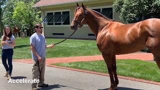 Lanes End Farm Tour June 2019 [upl. by Anora]