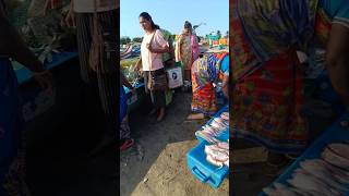 Buying fish at Kovalam beach chennai foodseafoodfish [upl. by Amye]