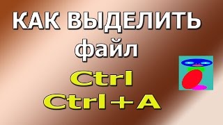 Как выделить файл Как выделить все файлы или несколько [upl. by Fiann]