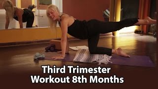 Third Trimester Workout 8th Months [upl. by Ez35]