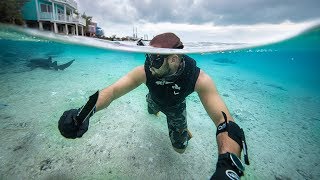 Spearfishing Beautiful REMOTE Island For SURVIVAL Shark feeding [upl. by Johen]