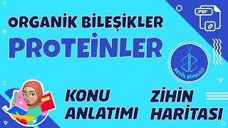 Proteinler  TYT Biyoloji  9 Sınıf Biyoloji  PDF TYTbiyoloji proteinler YKS2022 [upl. by Templia487]