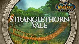 Stranglethorn Vale  Music amp Rain Ambience  World of Warcraft Classic [upl. by Sherye751]