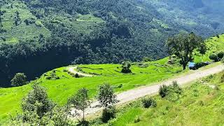 Nature Mountain video shortvideo mountains nepal mothernature98041 [upl. by Oniram]