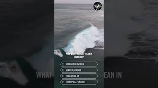 What does quotWaikikiquot mean in Hawaiian surf oceansounds beach water [upl. by Denver]