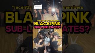 THEBLACKLABEL’s New Girl Group Alleged Members [upl. by Rodrigo]