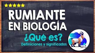 🙏 ¿Qué es rumiante en biología  Conoce a los animales rumiantes 🙏 [upl. by Enaira549]