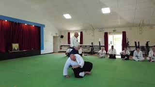 Technical amp Mental Aikido [upl. by Ezzo]